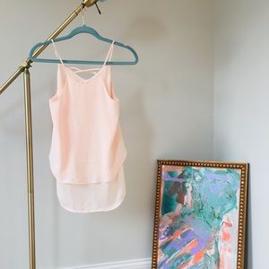 Sheer Blush Blouse